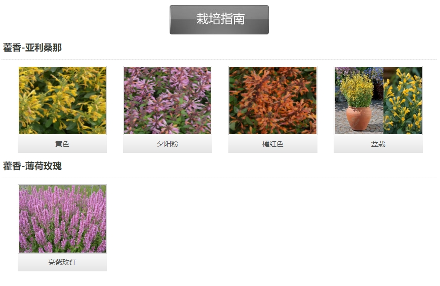 微信截图_20241127141924.png