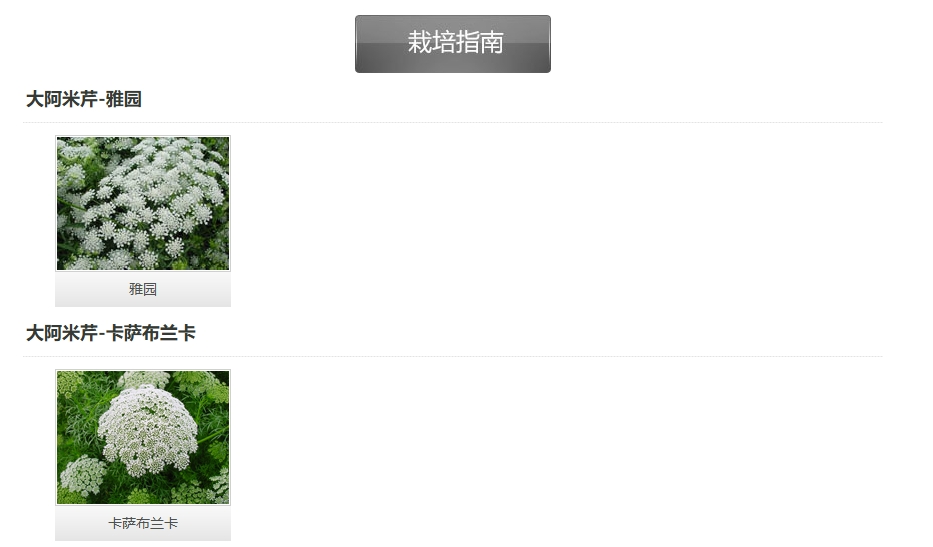 2(4).png
