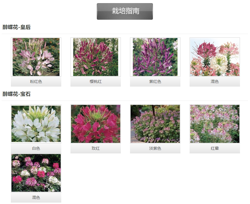 微信截图_20241128163918.png
