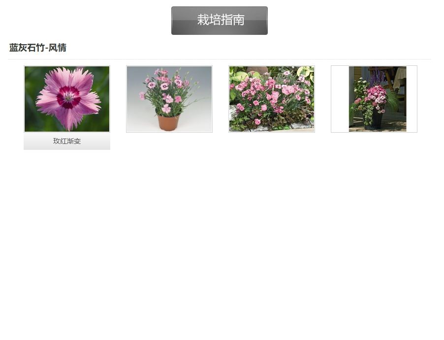 微信截图_20241223152209(1).png