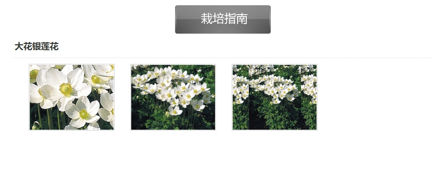 2(8).png