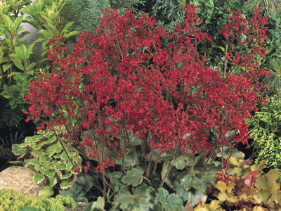 20120825104527.jpg