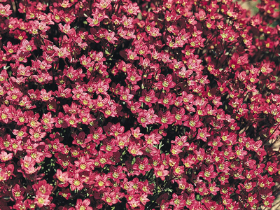 20120828034645.jpg