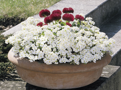 20120926023823.jpg