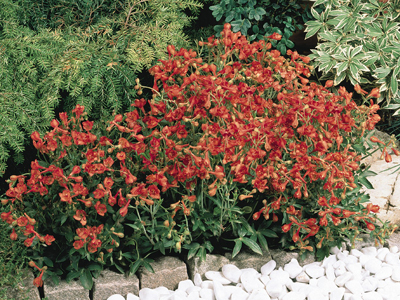 20120928033757.jpg