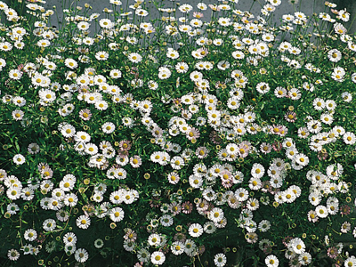 20121008024704.jpg