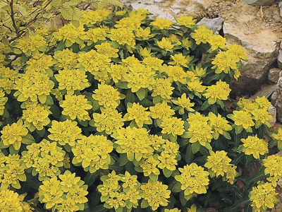 20121008033534.jpg