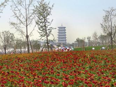 20121008050552.jpg