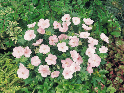 20121009102628.jpg