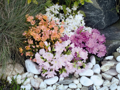 20121010110522.jpg