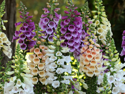 20130925053643.jpg