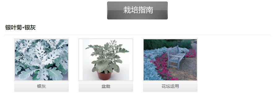微信截图_20241129163252.png