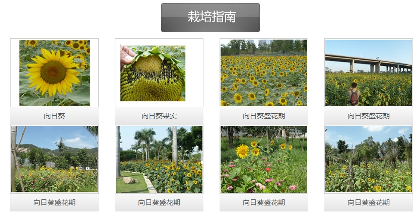 微信截图_20241226161349.png