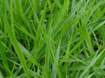 20120801033755.jpg