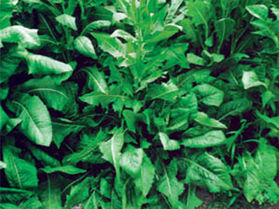 20120801033917.jpg