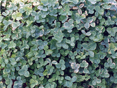 20120801034125.jpg