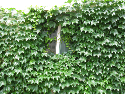 20120801035703.jpg