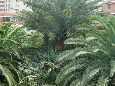 20141107031436.jpg